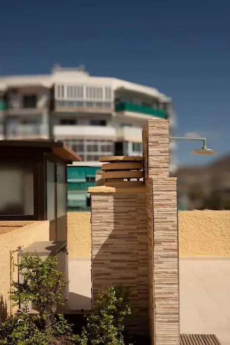 Piso Con Terraza Y Vistas Cerca De La Palya Apartment Playa de las Americas  0*, Playa de las Americas (Tenerife)